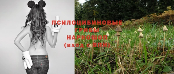 гидропоника Алексеевка