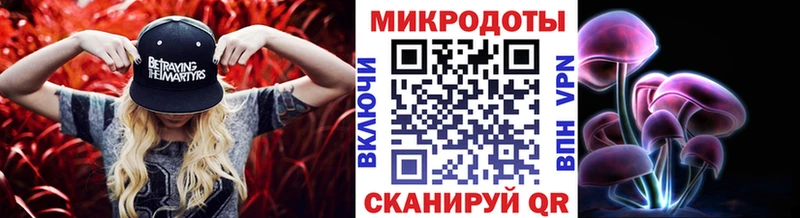 дарнет шоп  Черноголовка  Псилоцибиновые грибы Psilocybe 